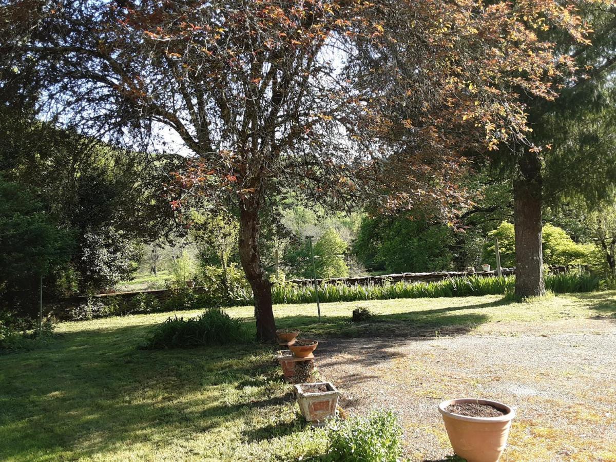 Auberg'IN Gîte Mirandol-Bourgnounac Extérieur photo